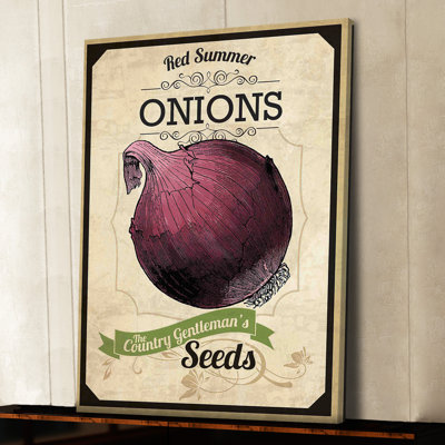 Seed Packet Onion - Wrapped Canvas Print