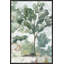 Landscape & Nature-1298341506-1298341507