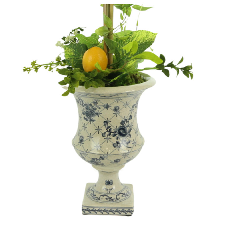 Lemon Plant Topiary