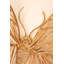  Cadre mural en fer naturel H 11 po