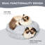 Large Cat Tunnel Bed For Indoor Cats-1562936883