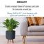 Concrete Effect Cylinder Round Planter on Hardwood Legs, Round Indoor Plant Pot Stand for Indoor Plants, Indoor Flower Pot with Ribbed Pattern-77187018-77187023