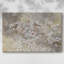 Early Spring-Gallery Wrapped Canvas-1847209733