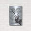 «Black Buck» par Barbara Keith-302720228