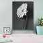 «Fresh Cut Daisy II» par Debra Van Swearingen, art mural sur toile-1274757953