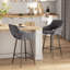 Orduna Upholstered Counter Stool with Metal Frame-398985475