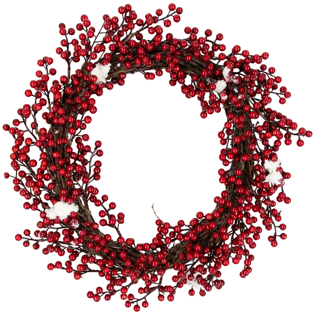 Red Berry with Frosty Accents Artificial Christmas Wreath - 18-Inch Unlit Northlight Seasonal