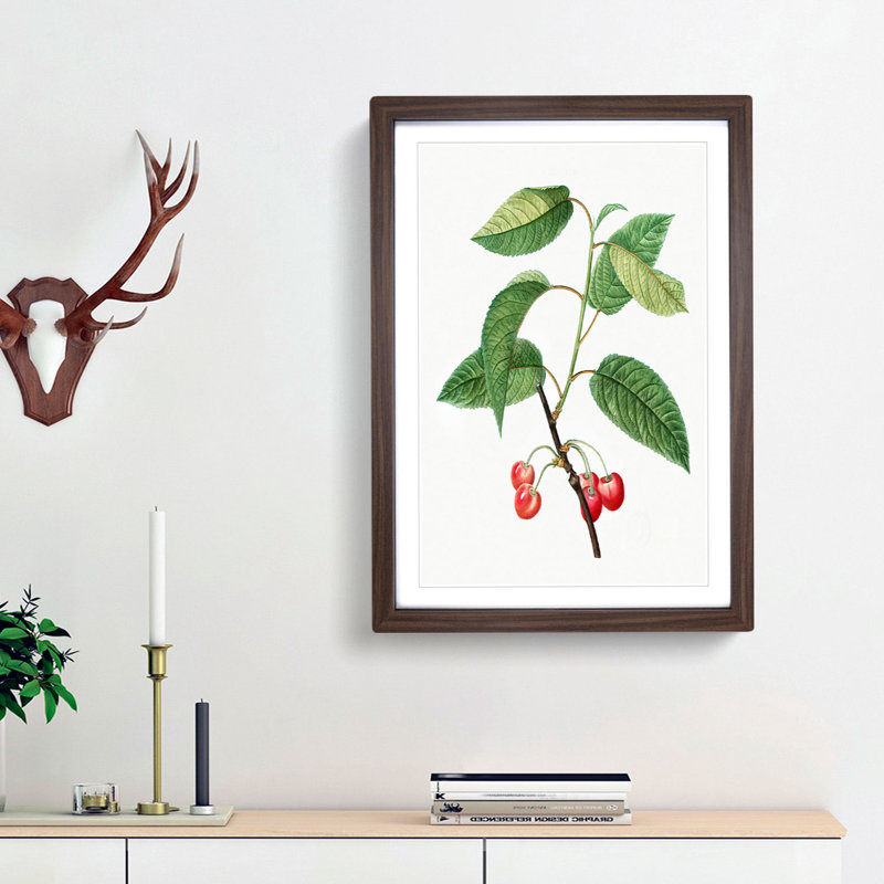 Cherry Tree by Pierre-Joseph Redoute - Picture Frame Painting Print, 36cm H x 27cm W x 2cm D, Walnut Framed