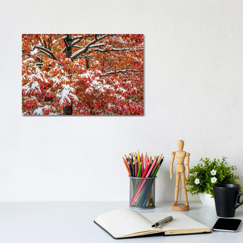Seasons Of Change by Bill Sherrell - Gallery-Wrapped Canvas Giclée on Canvas, 20.32 cm H x 30.48 cm W, Canvas