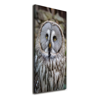 Owl - Wrapped Canvas Print