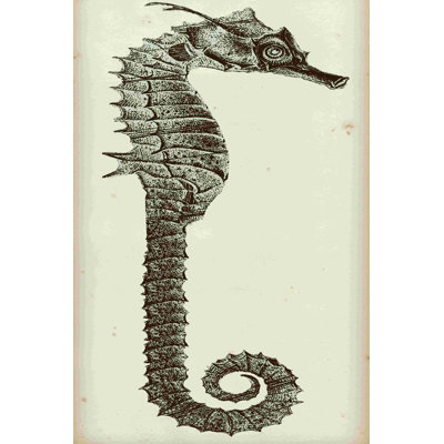 Hippocampe rétro II