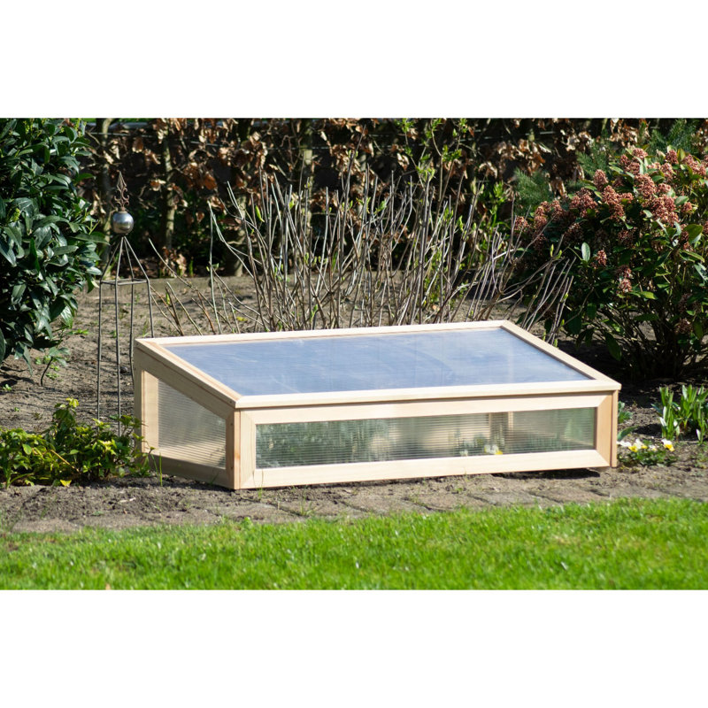 Aakifah 2 Ft W x 4 Ft D Cold Frame