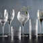 Luigi Bormioli Diamante Gin Glasses, 650ml