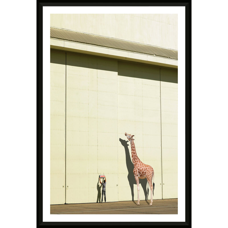 " Curious Giraffe " by Richard Newstead