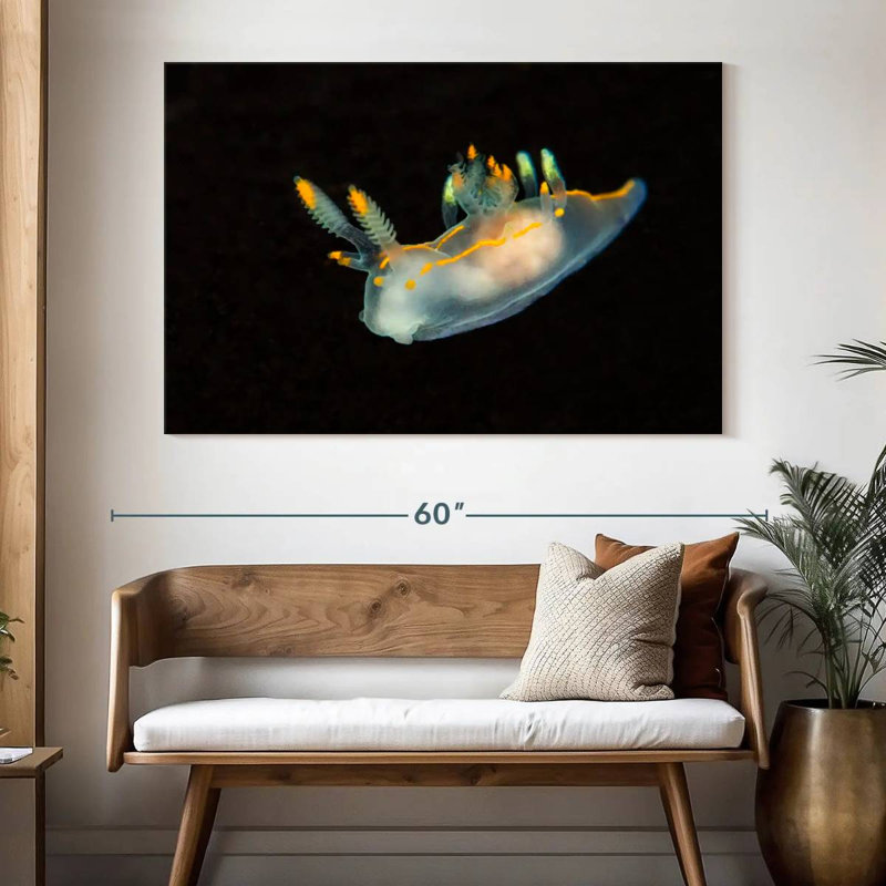Limace de mer dans les eaux sombres, H 34 po x l 51 po