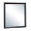 Miroir Chataignier-48095380