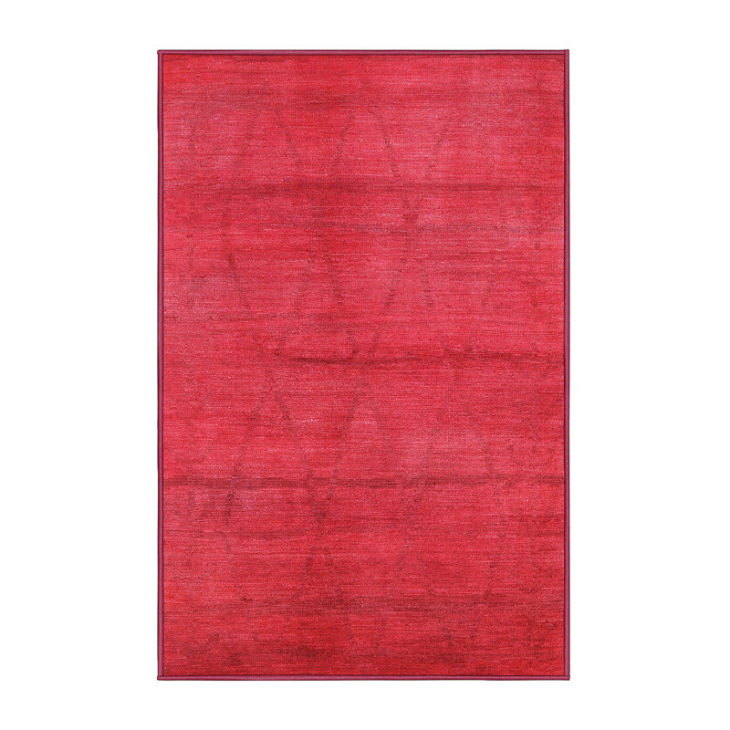 Altynay Moroccan Indoor Rug, Rectangle 2' x 4'