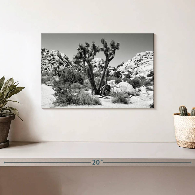 Arizona noir - Joshua Tree II, H 8 po x l 12 po