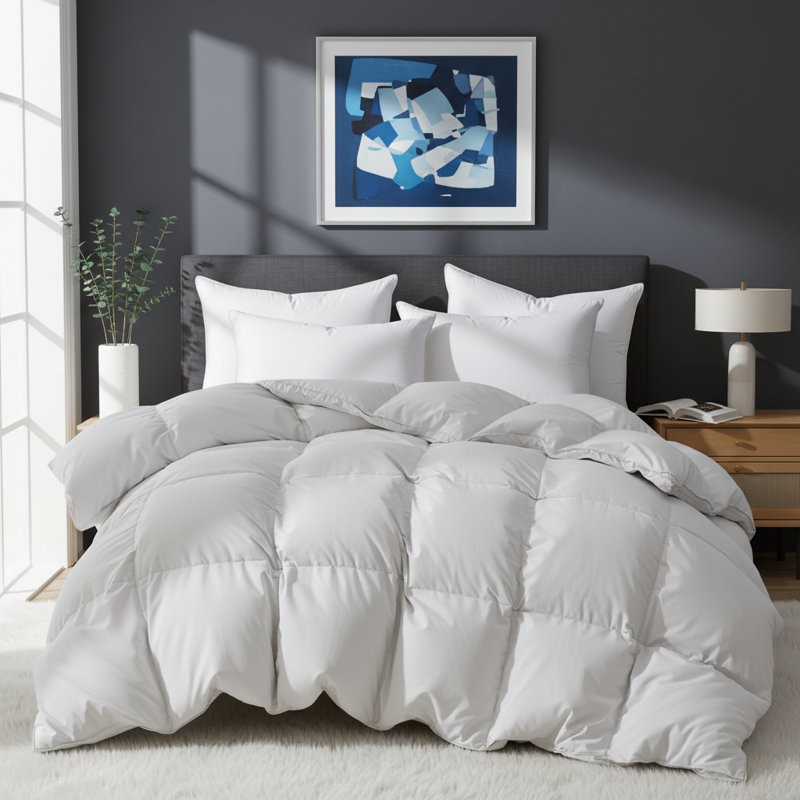 All Season Goose Down & Feather Fiber Duvet Insert Down Comforter, Full, White