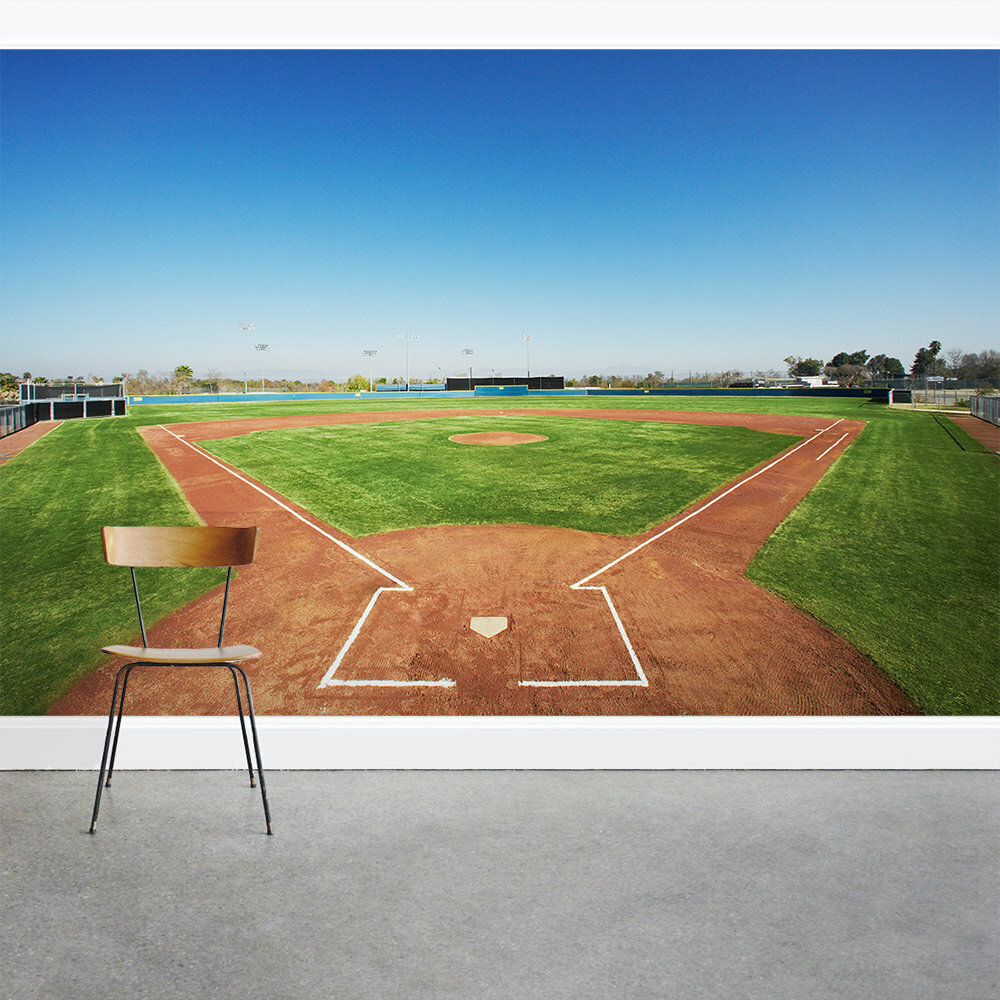 Professional baseball players Wall Mural Wallpaper