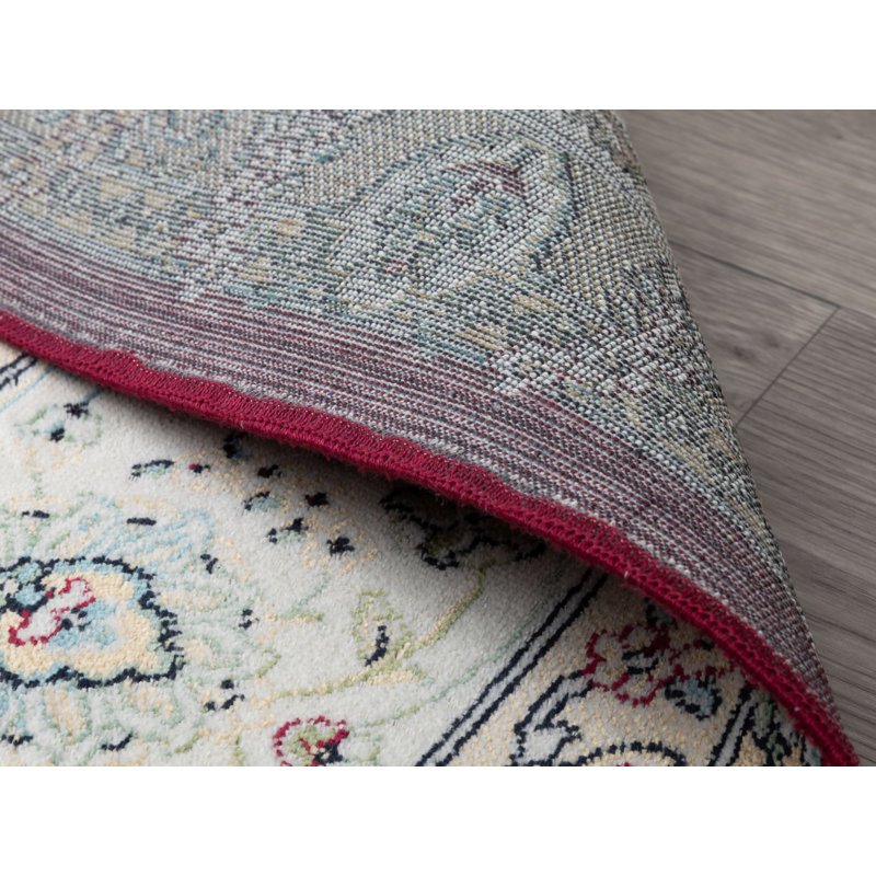 Badley Oriental Area Rug, Rectangle 195 x 300cm