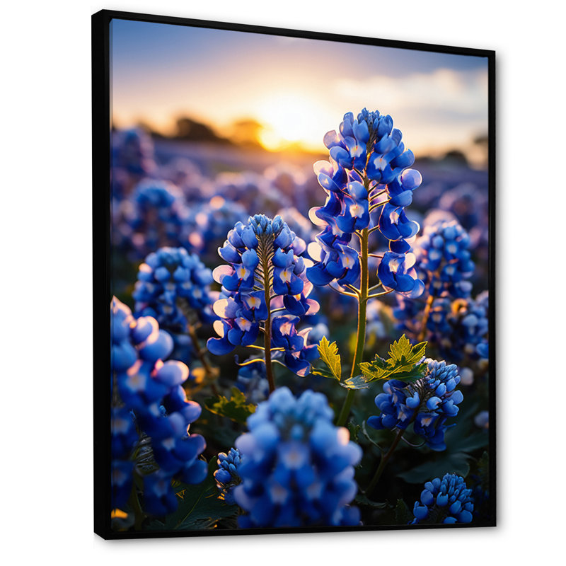 Bluebonnets Flower Blissful II - impression, H 20 po x l 12 po x P 1 po, Cadre flottant noir