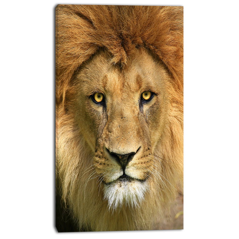 « lion avec visage calme », impression sur toile, H 32 po x l 16 po x P 1 po