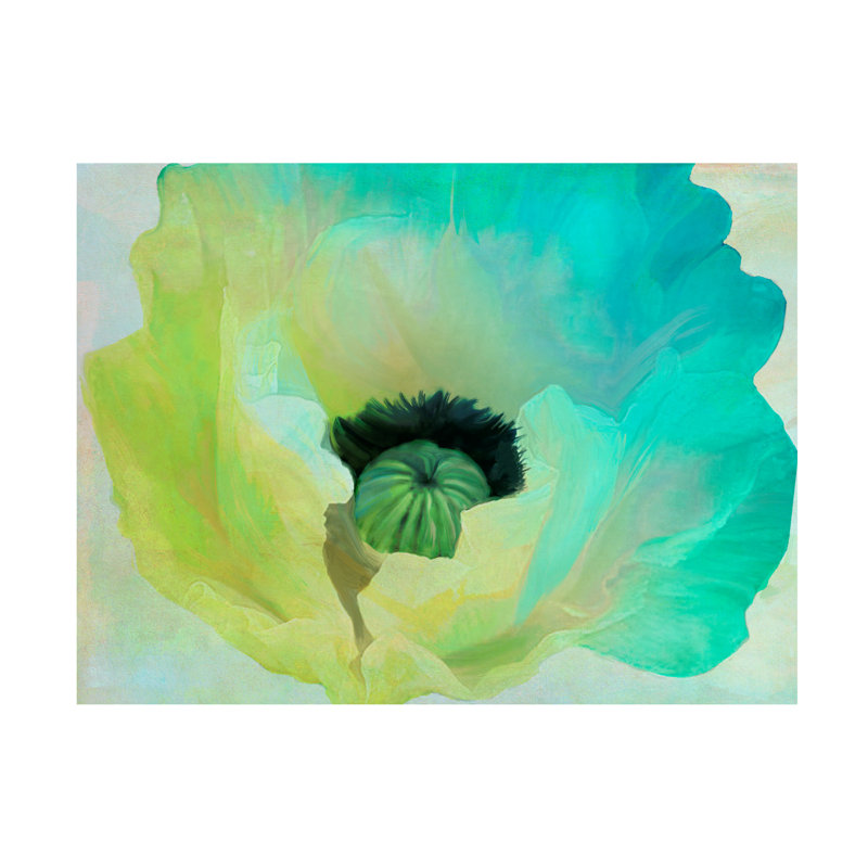 Art sur toile «Bachelor Sasha Poppy Gradient I», H 14 po x l 19 po