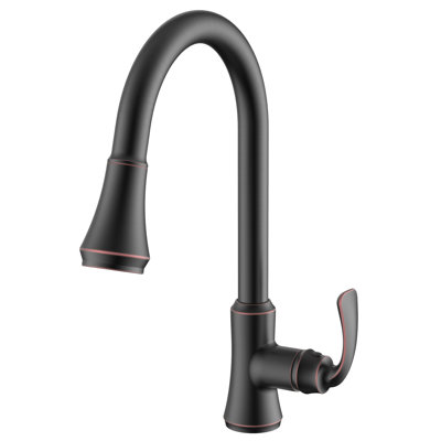 Daweier Pull Out Kitchen Faucet