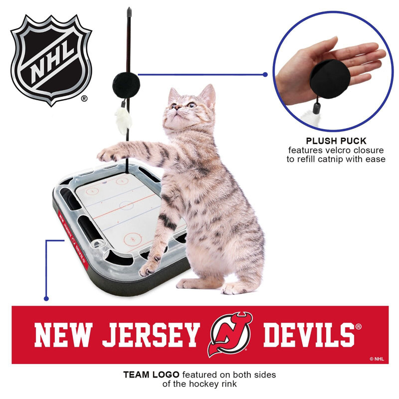 Tucker Murphy Pet™ NHL Hockey Field Cat Scratcher Toy with Catnip & Plush Feather Wand