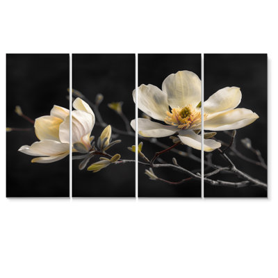 «Rodriguez - Magnolias», ensemble d'art sur toile