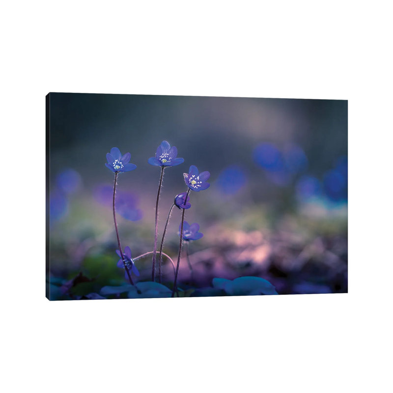 Trio by Lauri Lohi - Wrapped Canvas Print, 20.32 cm H x 30.48 cm W