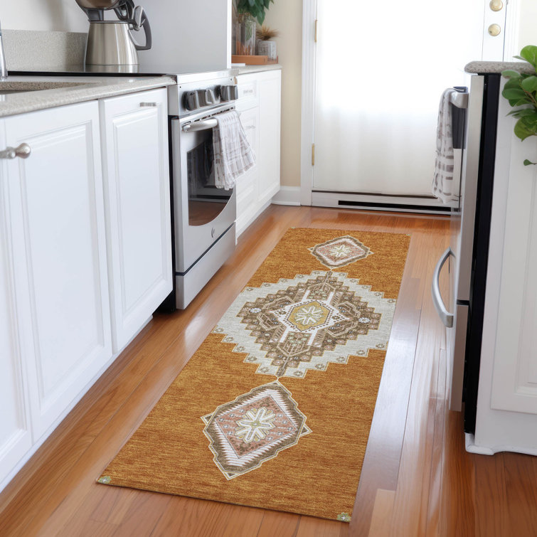 Machine Washable Indoor/Outdoor Chayden ACN1014 Rug