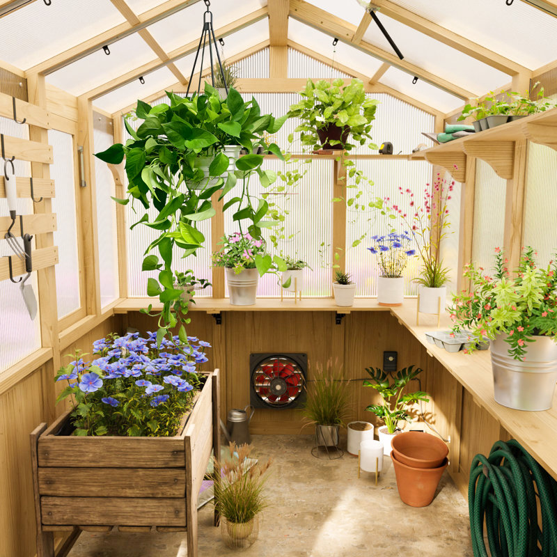 6'W x 6.7'D x 7.7’H Wooden Greenhouse,Cedar Wood and Polycarbonate Walk-In Outdoor Greenhouse 