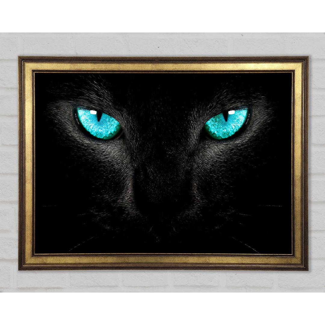 Blue Eyes Cat - Einzelne Bilderrahmen Kunstdrucke