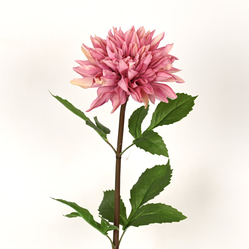 Arrangement floral 28 po Dahlia, Mauve