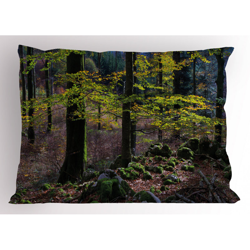 Forest Polyester Toile Sham Set, Queen