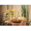 Dart Walnut Lamp with Fairy Light Dart Ornament Valentine Special-1990072923