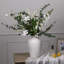 Anastasija Arrangement
