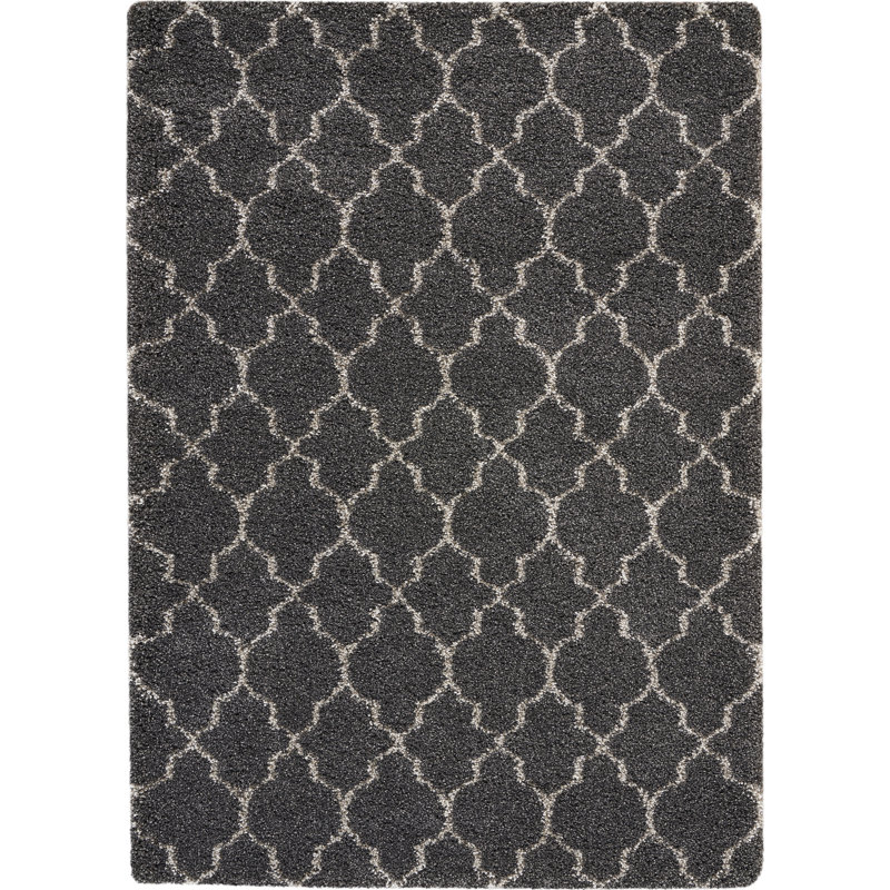 Youn Moroccan Indoor Rug, Rectangle 3'11" x 5'11"