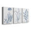 Antique Botanical in Blue V - Ensemble de 3 peintures sur toile tendue-1212726439