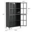 Armoire de rangement en métal noir de qualité supérieure avec portes en verre trempé, tablettes réglables, dispositif anti-basculement, fermeture silencieuse magnétique et pieds réglables pour la maison et le bureau