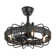 18" Rattan Caged Ceiling Fan with Light Kit and Remote