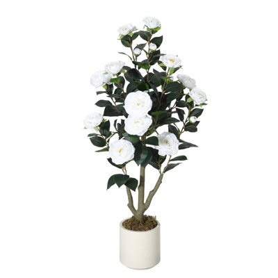 Arrangement