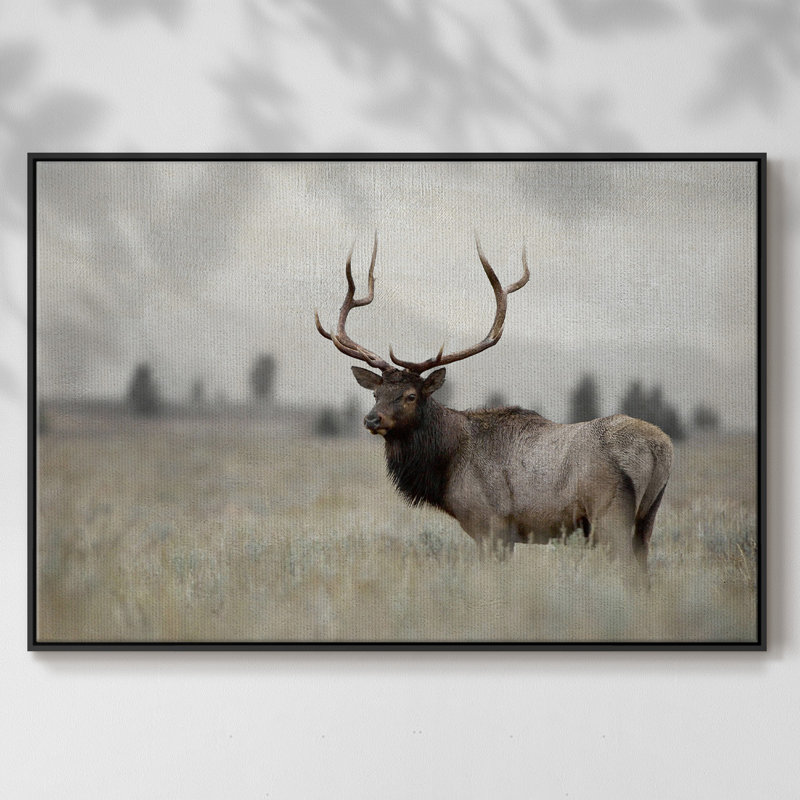 Grand élan encadré sur toile, H 17 po x l 25 po x P 2 po, Noir