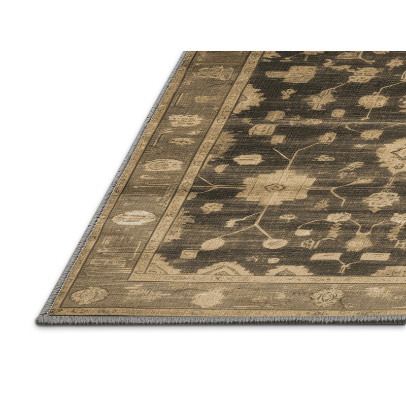 Machine Washable Overdyed Brown Area Rug, Rectangle 2' x 3'