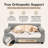  Orthopedic Dog Sofa Bed-66284375-66284374