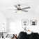52'' Ceiling Fan with LED Lights