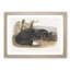 American Black Fox by J.W. Audubon - Single Picture Frame Painting-55544583-55544585