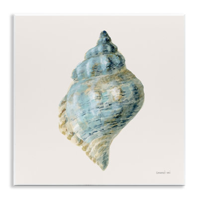 Coastal Bliss Conch Shell Wall Plaque, design by Danhui Nai